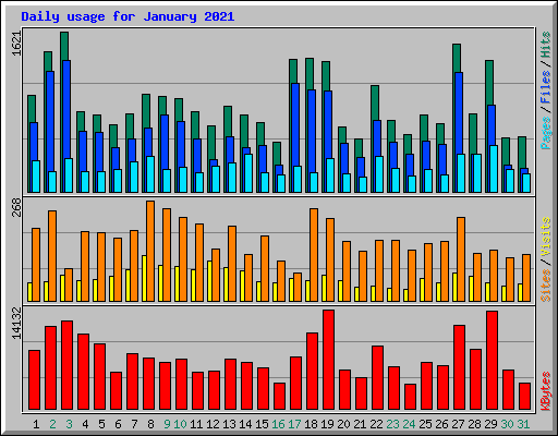 Daily usage for January 2021
