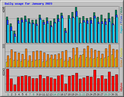 Daily usage for January 2023