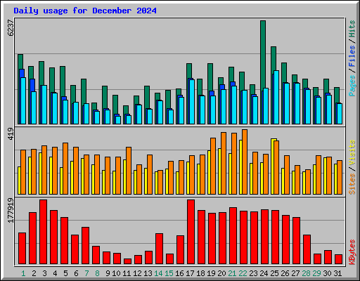 Daily usage for December 2024