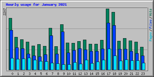 Hourly usage for January 2021