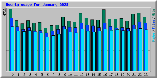 Hourly usage for January 2023