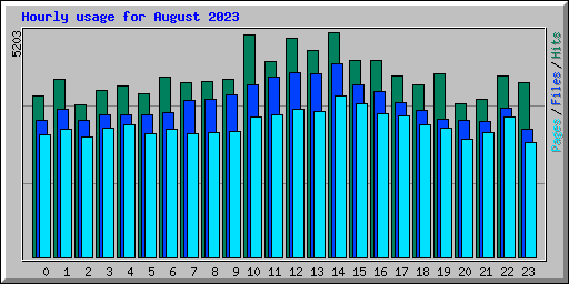 Hourly usage for August 2023