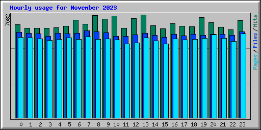 Hourly usage for November 2023