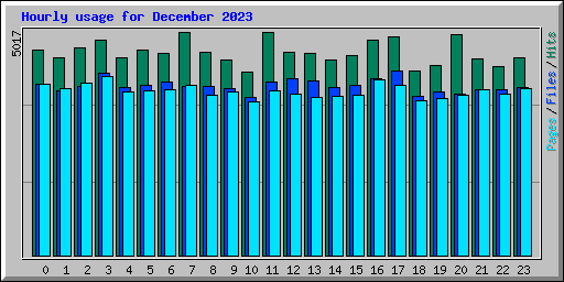 Hourly usage for December 2023