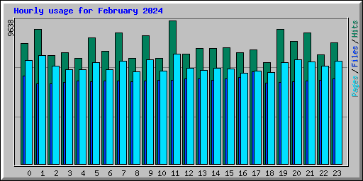 Hourly usage for February 2024