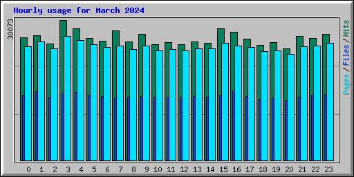Hourly usage for March 2024