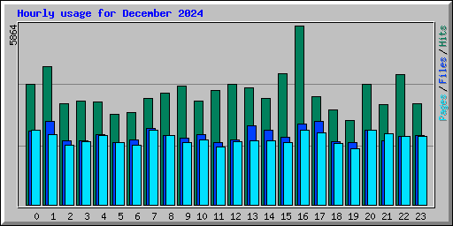 Hourly usage for December 2024
