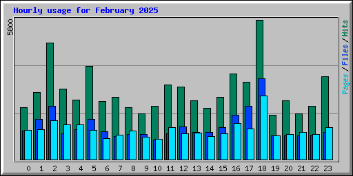 Hourly usage for February 2025