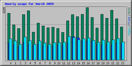 Hourly usage for March 2025