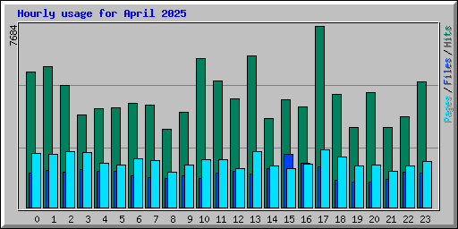 Hourly usage for April 2025