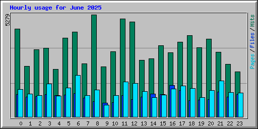 Hourly usage for June 2025
