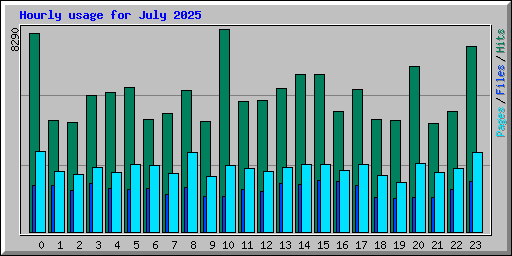 Hourly usage for July 2025