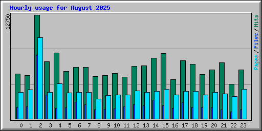 Hourly usage for August 2025