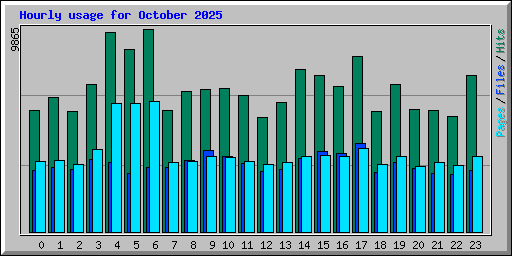 Hourly usage for October 2025